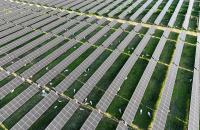 California and Texas are swimming in solar + storage | Factor This Brief