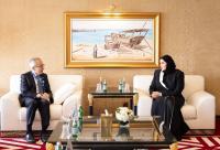 Al Misnad meets Lebanese and Djiboutian officials