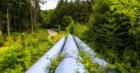 Hiding in Plain Sight: Why Energy Companies Should Treat Ecological Systems as Strategic Assets