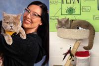 Art Teacher Gets Cat Registered as a Therapy Animal. Now He Roams the Hallways and Acts Like He Runs the Place (Exclusive)