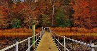 For autumn wildlife watching, pick a refuge – any refuge