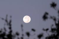 Hunter’s Moon rises over West Virginia, recalling old mountain traditions