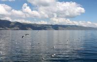 COP17 First Week Outcomes: Armenia Advances Accords on AI Biosecurity, Gender Financing, and Massive Lake Sevan Restoration
