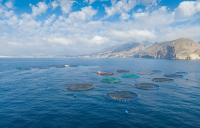 European Commission promises simpler aquaculture rules, clarifies financial details after release of Vision 2040