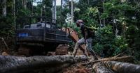 Suriname’s Saamaka tribe turns to mapping and documenting in effort to protect the Amazon rainforest