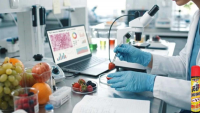 Pesticide concerns highlight food safety challenges in emerging Azerbaijan–Armenia trade