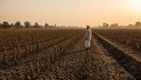 Deadlock Over Climate Science Schedule Raises Fresh Questions Ahead of Next Global Stocktake Process