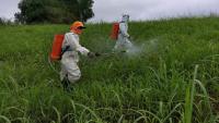 Philippines seeks US$31.27M sugar industry funding for irrigation, pest control