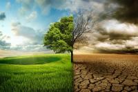 Climate action to become legal duty