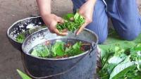 Iowa church secures DEA religious exemption for use of ayahuasca