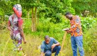 Ghana is restoring nature, but is nature recovering?