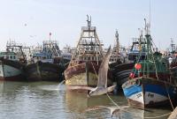 Search Continues for Five Missing Fishermen Off Morocco’s Safi Coast