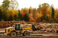 Maine logging, border strains whipsawed by US-Canada tariff war