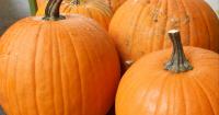 KALW Almanac - Monday October 26, 2026