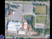 Rain or Shine: Tree Pickup Day at MTSU’s Greenland Dr. Livestock Center