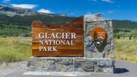 Deadly bat disease that killed millions reaches Montana's Glacier National Park for the first time