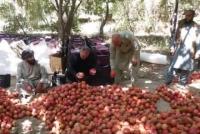 Pakistan Trade Route Closure Drives Russian and Indian Traders to Kandahar