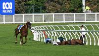 Victoria crowned 'deadliest' state for racehorses by activists