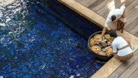 How to create a DIY wellness retreat in Bali for $120 a day