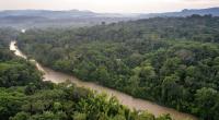 Indigenous territories in the Ecuadorian Amazon achieve conservation indicators equal to or higher than those of protected areas