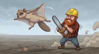 Opinion: Google annihilates protected flying-squirrel habitat in Finland