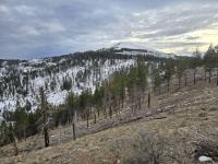 ODFW seeks NE Oregon candidate for committee