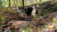 Hundreds of Connecticut culverts assessed for condition and impact to wildlife