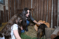 Leyla Aliyeva visits Capybara Azerbaijan farm in Shamakhi [PHOTOS]