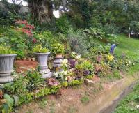 Yaoundé Residents Fight to Save Green Spaces