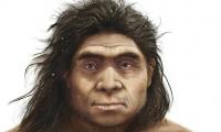 Look familiar? Rare fossils reveal what our ancient human relatives, the Denisovans, might have looked like