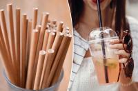 Paper straws worse for the environment than plastic ones, says study