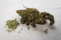 Regulators eye in-state path for out-of-state medical marijuana patients