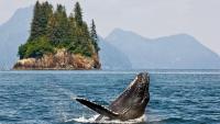Surrounded in SEAMAX Alaska