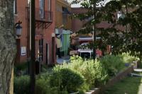 Massachusetts lesbian bar that went viral over Covid mask backlash is closing