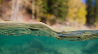 Widespread ‘Forever Chemicals’ Found in 96% of Tested Florida Waterways, Study Warns