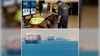 Africa Has 179 Ports, Yet Businesses Still Face Soaring Shipping Costs and Week-Long Delays