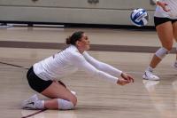 Little Rock Volleyball Hosts Central Arkansas in UAC Showdown