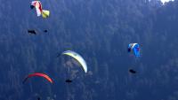Bulgarian pilot killed in Himachal paraglider crash, British national rescued