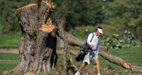 Judge continues to block Trump from cutting down trees at D.C. golf course