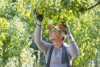 Farmer’s plea adds weight to calls for herbicide ban