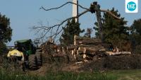 Judge Bars Trump Administration From Cutting More Trees on D.C. Golf Course
