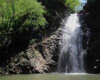 Costa Rica Artists Rally to Protect Montezuma Waterfall After Environmental Damage
