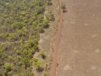 Brazil’s Vote Is a Victory for the Amazon, Environmentalists Say