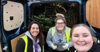 Dorset charity seeks volunteers and vans for Christmas tree recycling fundraiser