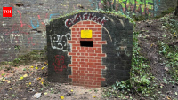 Britain converted a nearly 200-year-old railway worker's hut into a bat shelter; a winter inspection found a whiskered bat hibernating inside