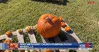 National Pumpkin Day brings families to Minden pumpkin patch before season ends