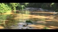Windalco found guilty of 2019 Rio Cobre pollution