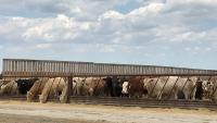 Monitoring water sources to protect herd health