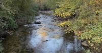 The Editor’s Pen – Healing in the Virginia mountains