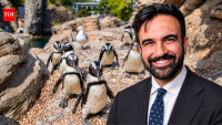 Zohran Mamdani announces $2 million for New York Aquarium renovation